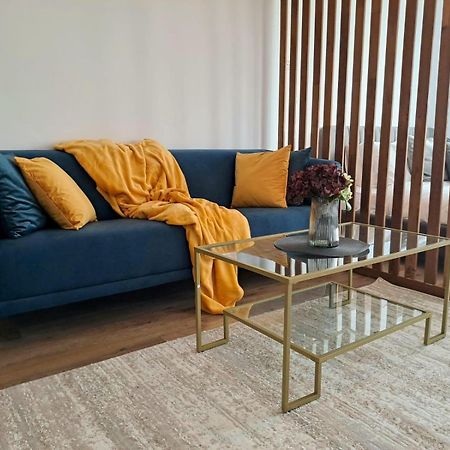 Mountain Breeze Luxury Apartment Ac & Parcare Privata Braşov Esterno foto